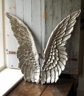 wings 1